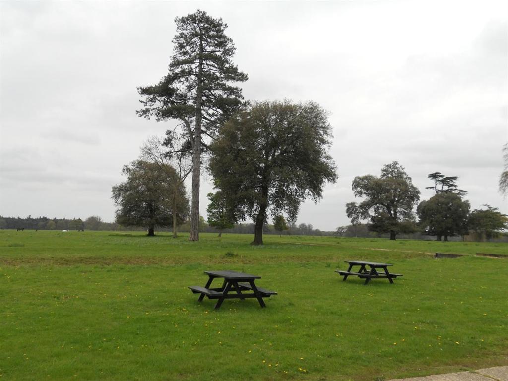 Bed and Breakfast The Stables At Henham Park Southwold Exterior foto