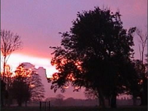 Bed and Breakfast The Stables At Henham Park Southwold Exterior foto